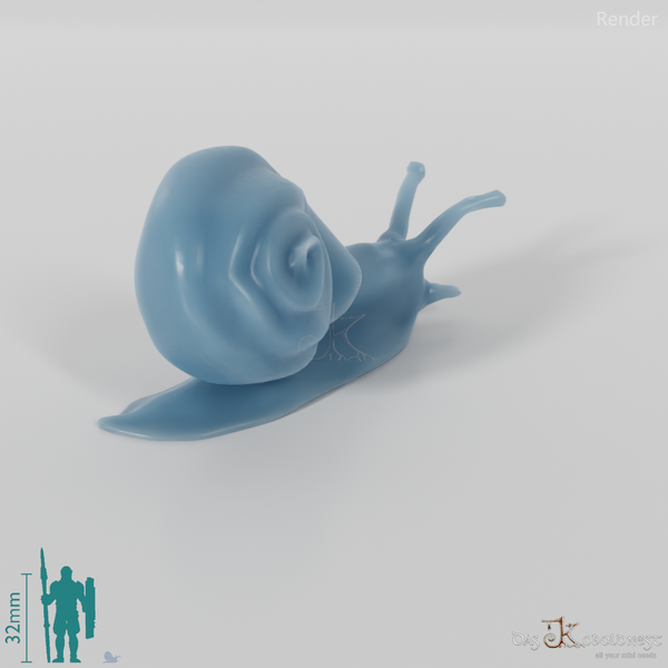 Snail - Snail 01