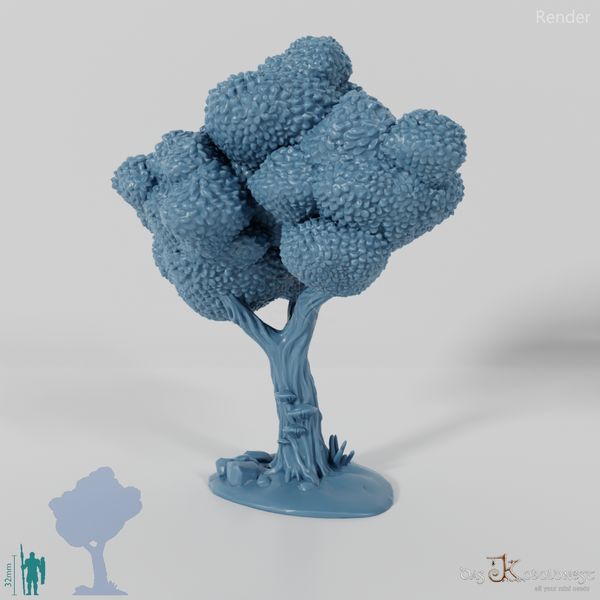 Furrowed deciduous tree 1