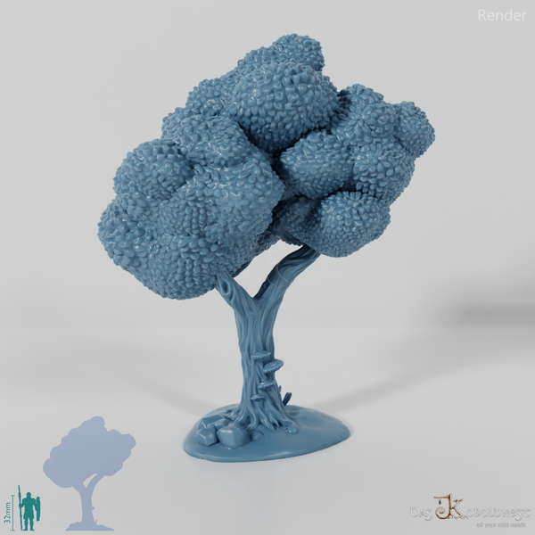 Furrowed deciduous tree 1