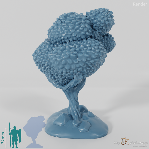 Furrowed deciduous tree 3