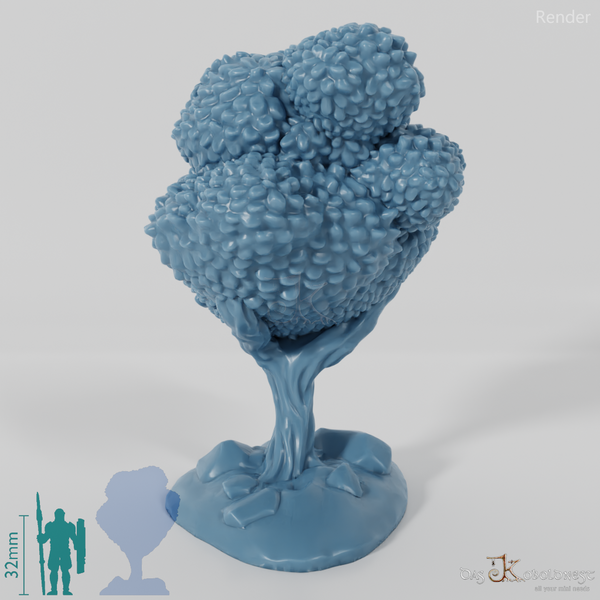 Furrowed deciduous tree 3