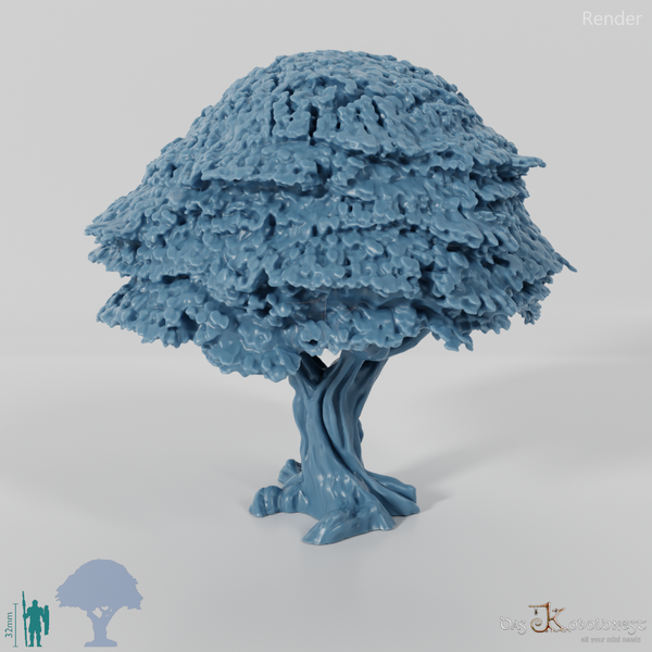 Small deciduous tree