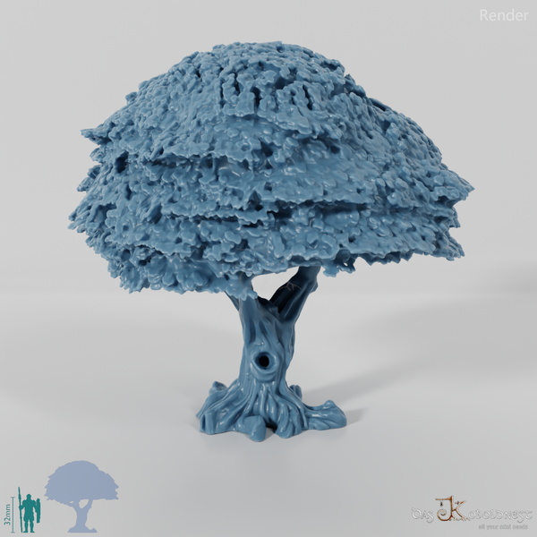 Small deciduous tree