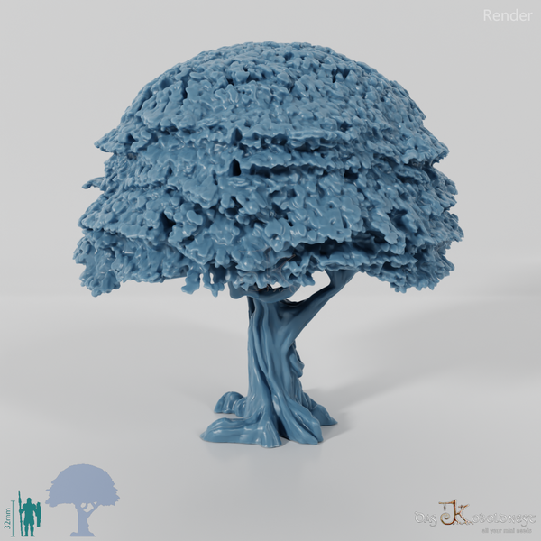 Small deciduous tree