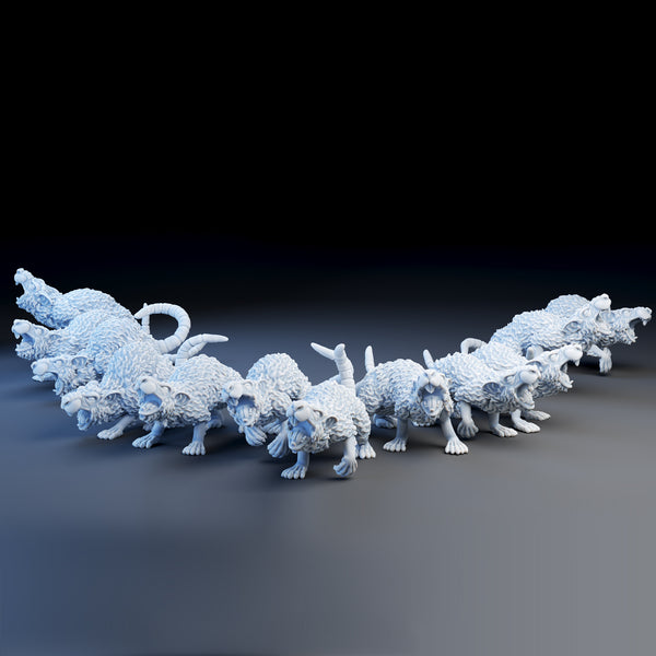 Giant rats - complete set