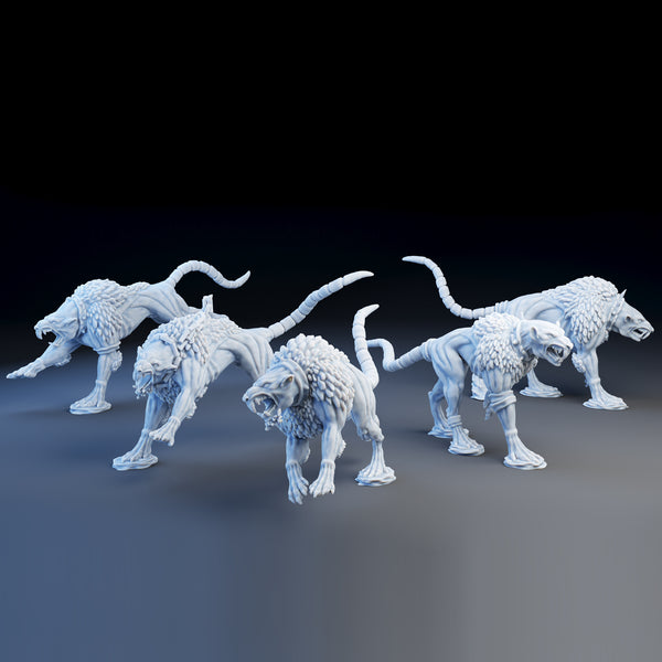 Hound Rats - complete set